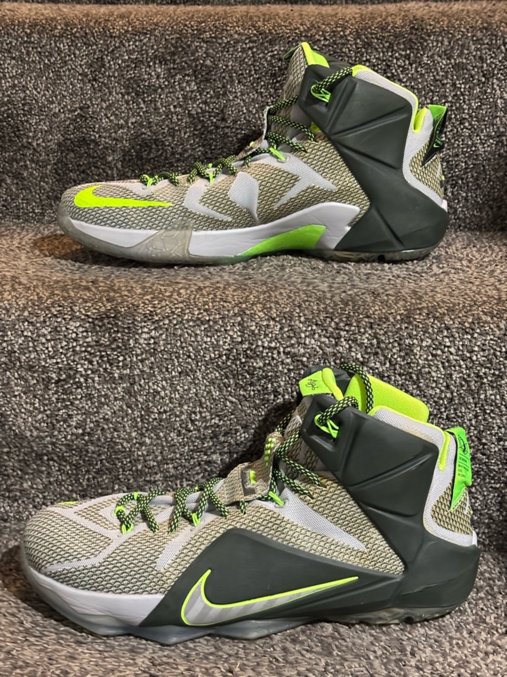 Nike LeBron 12 Dunk Force